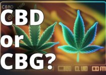 The Ultimate Guide To Choosing Between Cbg And Cbd