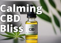 Cbd Oil For Stress Relief: A Game-Changer In The Wellness World