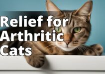 Discover The Remarkable Benefits Of Cbd Oil For Arthritis In Cats: A Definitive Guide