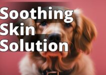 The Ultimate Guide: How Cbd Oil Benefits Dogs With Skin Allergies