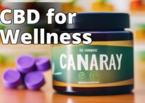 The Benefits Of Cannaray Cbd: A Comprehensive Guide To Health And Wellness