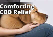 Cbd Oil For Dogs: A Natural Solution For Inflammatory Bowel Disease